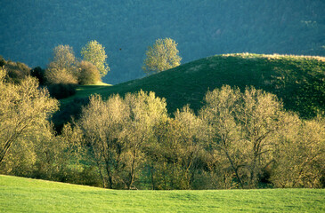 Causse Mejan, Parc naturel régional des Grands Causses, 12, Aveyron, France