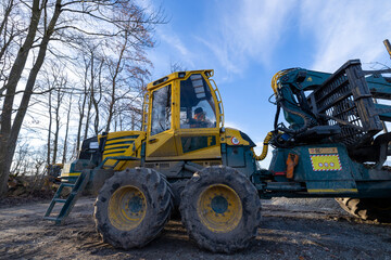 pneulader für holz im wald