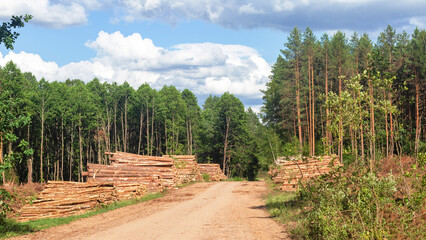 Rows of piled of logs , waiting to be processed, at a local rural lumber mill, made into lumber for construction. Banner.