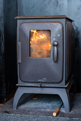 Fototapeta premium wood burning stove with fireplace, iron dog stove 
