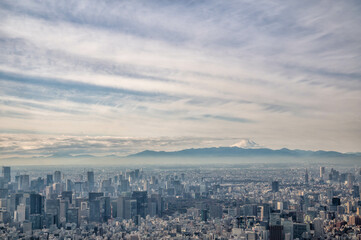 Fototapeta premium 東京都墨田区 東京スカイツリーから望む高層ビル群