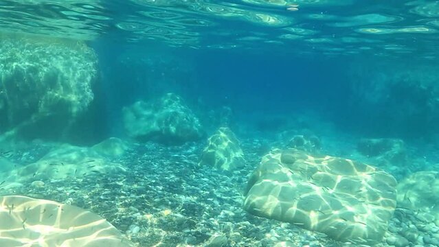 Lebensraum unter der Wasseroberfl&auml;che mit steinigen Meeresboden und vielen Fischen
