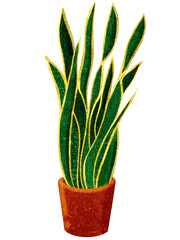 Hand-drawn watercolor illustration of Sansevieria in brown pot