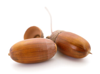 Three oak acorns.