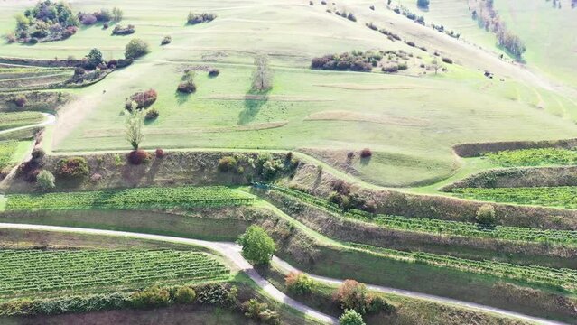 Drohnen Luftaufnahme von Schelingen am Kaiserstuhl mit Blick auf die Weinberge. Dolly-Zoom Effekt. Schelingen, Vogtsburg am Kaiserstuhl, Breisgau, Schwarzwald, Freiburg, Baden-W&uuml;rttemberg, Deutschland