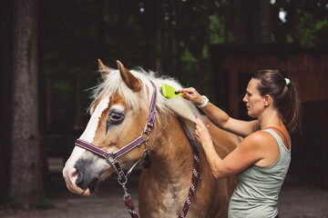 Woman brushing horses hair with a brush, taking care of the horse