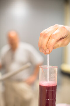 Hand of person measuring red liquid using hydrometer, Delaplane, Virginia, USA