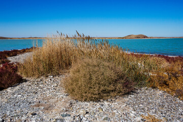 Fototapeta na wymiar Lake Alakol autumn landscape. Kazakhstan