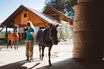 Woman trainer walking with two horses on a leash taking them to the stables 