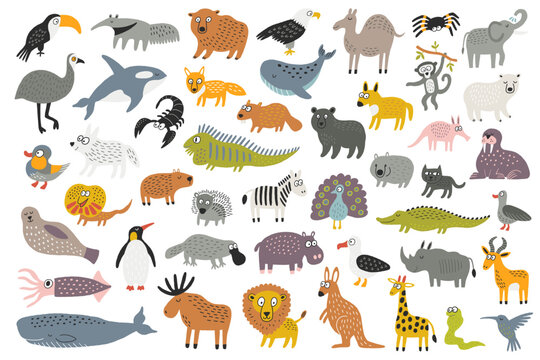 Big bundle of funny wild animals, marine mammals, reptiles, birds and fish. Collection of colorful cute cartoon characters of seven continents. Isolated vector illustration in flat style
