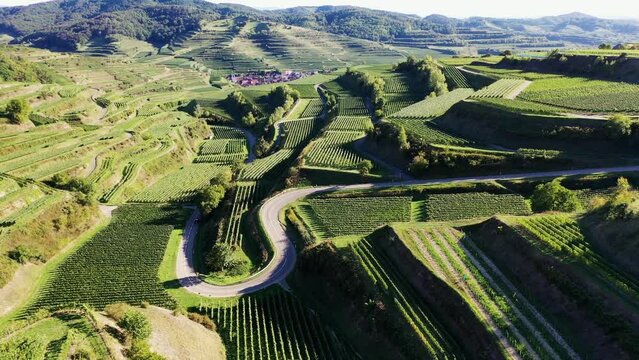 Drohnenvideo vom Texaspass am Kaiserstuhl mit Blick auf die Weinberge. Oberbergen, Breisgau, Schwarzwald, Freiburg, Baden-W&uuml;rttemberg, Deutschland.