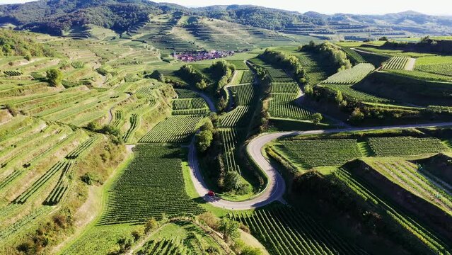 Drohnenvideo vom Texaspass am Kaiserstuhl mit Blick auf die Weinberge. Oberbergen, Breisgau, Schwarzwald, Freiburg, Baden-W&uuml;rttemberg, Deutschland.