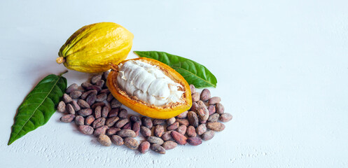 Fototapeta na wymiar Ripe fresh slide cocoa pods, half-in cut cocoa fruit, and dry brown cocoa beans with green cacao leaf on white wooden background