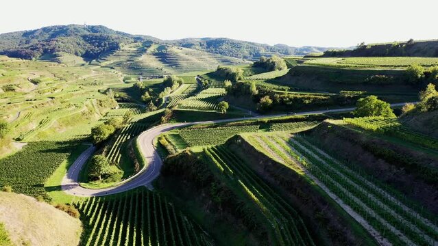 Drohnenvideo vom Texaspass am Kaiserstuhl mit Blick auf die Weinberge. Oberbergen, Breisgau, Schwarzwald, Freiburg, Baden-W&uuml;rttemberg, Deutschland.