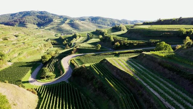 Drohnenvideo vom Texaspass am Kaiserstuhl mit Blick auf die Weinberge. Oberbergen, Breisgau, Schwarzwald, Freiburg, Baden-W&uuml;rttemberg, Deutschland.
