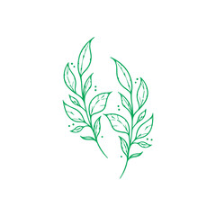 vector illustration of two green leaves