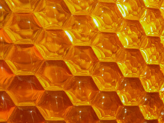 Beekeeping - close-up of the cells of a frame partially filled with honey