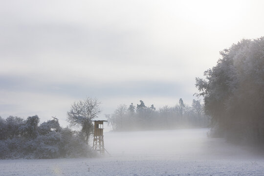 hunting from deer stand