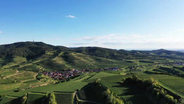 Drohnenvideo vom Texaspass am Kaiserstuhl mit Blick auf die Weinberge. Oberbergen, Breisgau, Schwarzwald, Freiburg, Baden-W&uuml;rttemberg, Deutschland.