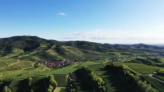 Drohnenvideo vom Texaspass am Kaiserstuhl mit Blick auf die Weinberge. Oberbergen, Breisgau, Schwarzwald, Freiburg, Baden-W&uuml;rttemberg, Deutschland.