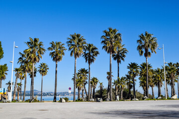 Beach Cogolin France with palm trees