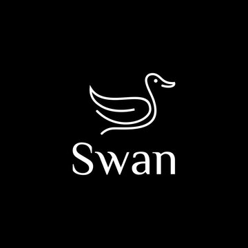 swan logo design,goose swim vector