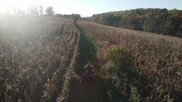 Man riding 4 wheeler through a farm corn field in Central Pennsylvania USA