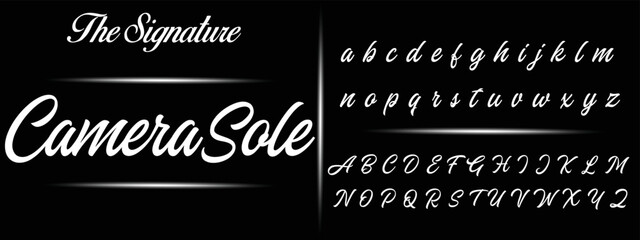 Signature Font Calligraphy Logotype Script Brush Font Type Font lettering handwritten
