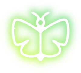 Collection of butterflies and insects neon