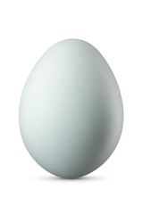One blue chicken egg isolated on white background.