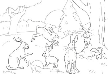 Hares - animal coloring pages. rabbit vector