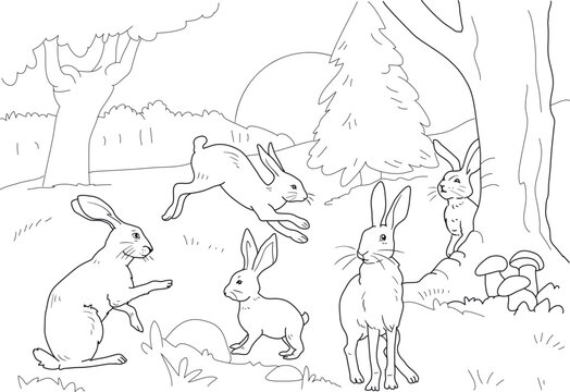 Hares - animal coloring pages. rabbit vector