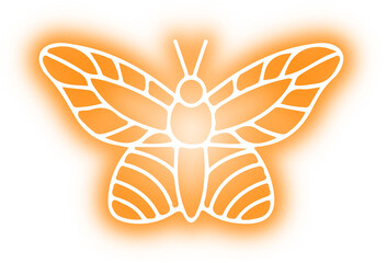 Collection of butterflies and insects neon