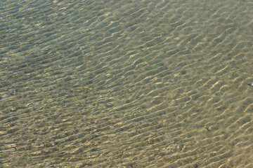 Freshwater waves at streaming  river