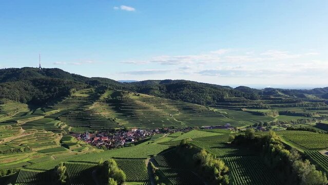 Drohnenvideo vom Texaspass am Kaiserstuhl mit Blick auf die Weinberge. Dolly-Zoom Effekt. Oberbergen, Breisgau, Schwarzwald, Freiburg, Baden-W&uuml;rttemberg, Deutschland.