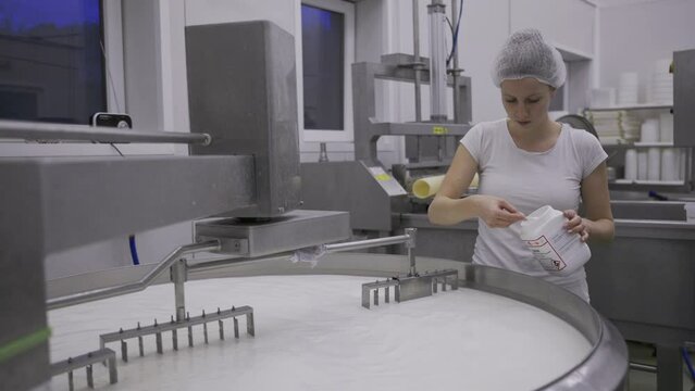 Woman adding salt to a large metal pot full of milk - Working at the dairy farm 