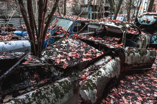 Old abandoned cars dumped in the Forest somewhere in Belgium.