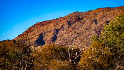 panorama of karijini national park in western australia; australian outback with red rocks, distinctive trees and mountains in the background