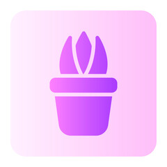 Succulent gradient icon