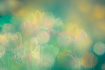 Fototapeta na wymiar spring bokeh background, silhouettes of blurred spring flowers on green yellow and blue background, generative ai backdrop