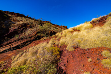 a panorama of hamersley gorge in karijini national park, western australia; a lush red canyon in the desert with red sand and rocks; an oasis in the australian outback