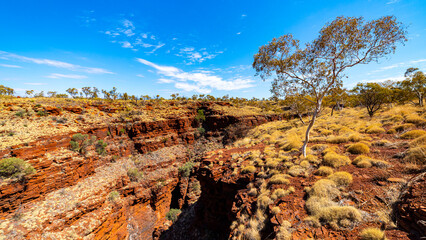 panorama of gorge in karijini national park in western australia; a lush red canyon in the desert with red sand and rocks; an oasis in the australian outback