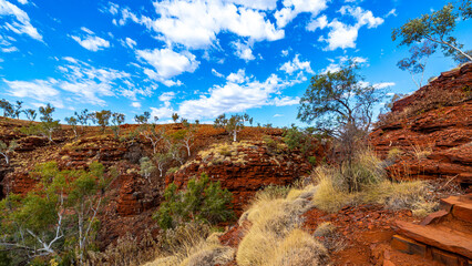 panorama of gorge in karijini national park in western australia; a lush red canyon in the desert with red sand and rocks; an oasis in the australian outback