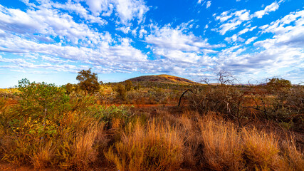 panorama of karijini national park in western australia; australian outback with red rocks, distinctive trees and mountains in the background