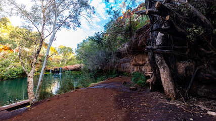 a panorama of fortescue falls in dales gorge in karijini national park in western australia; a waterfall in a lush red canyon in the desert with red sand and rocks