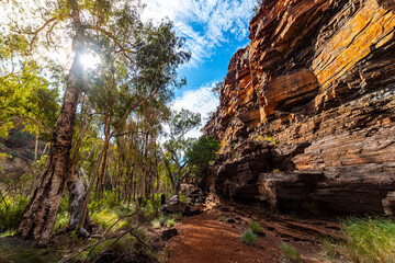 The interior of dales gorge in karijini national park in western australia; a lush red canyon in...