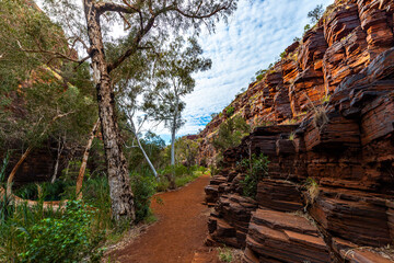 The interior of dales gorge in karijini national park in western australia; a lush red canyon in...