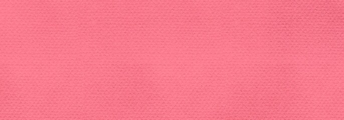 Pink Colored Paper Texture Background. Procreate Digital Art