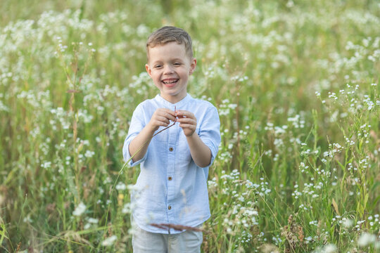 Small happy baby boy holding a daisy in his hand and laughing in the field of flowers on a warm summer day. stock image stock photo