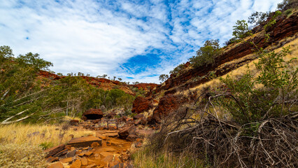 panorama of dales gorge in karijini national park in western australia; a lush red canyon in the desert with red sand and rocks